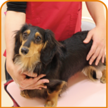 病気の予防について