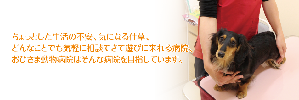 ちょっとした生活の不安、気になる仕草、どんなことでも気軽に相談できて遊びに来れる病院、おひさま動物病院はそんな病院を目指しています。