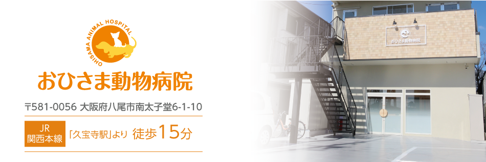 おひさま動物病院 〒581-0056 大阪府八尾市南太子堂6-1-10 JR 関西本線「久宝寺駅」より徒歩15分