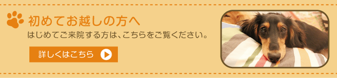 初めてお越しの方へはじめてご来院する方は、こちらをご覧ください。詳しくはこちら