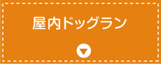 屋内ドッグラン